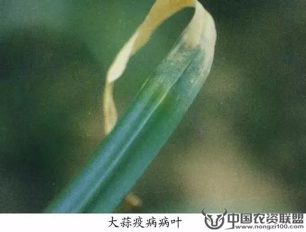 附件