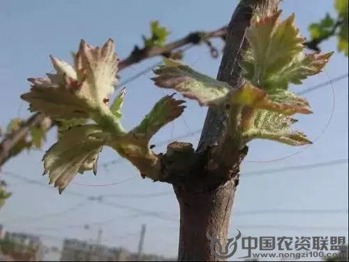 附件