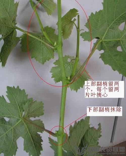 附件