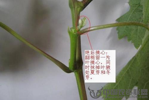附件