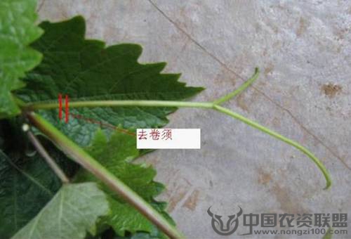 附件