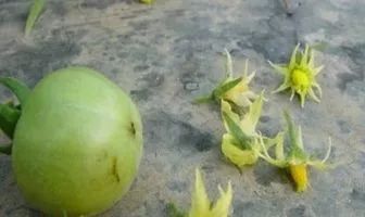 附件