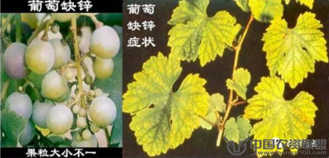 附件