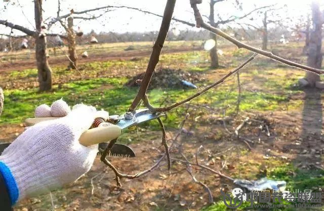 附件