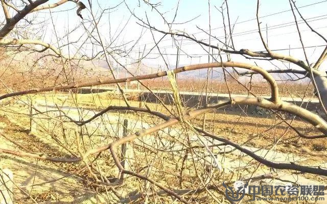 附件