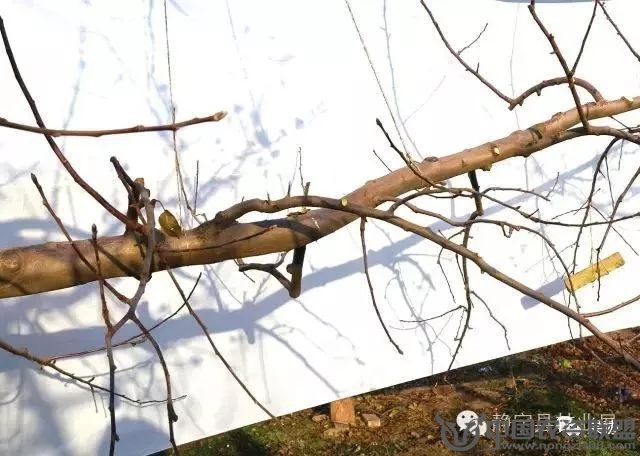 附件