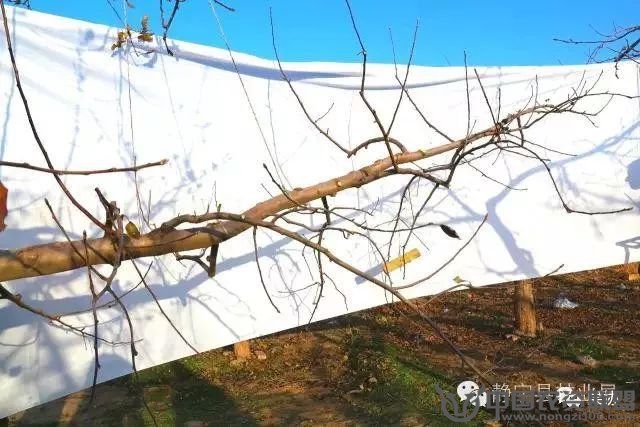 附件