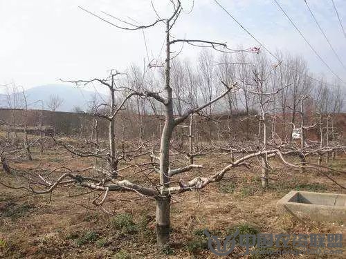 附件