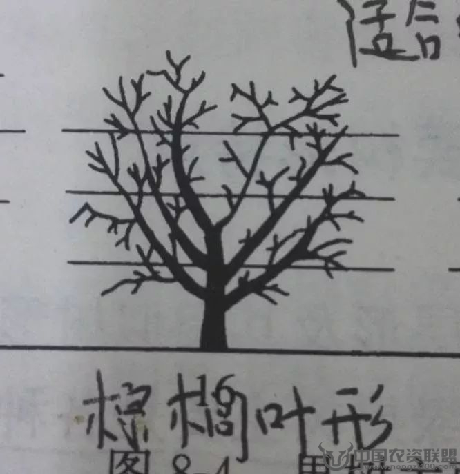 附件