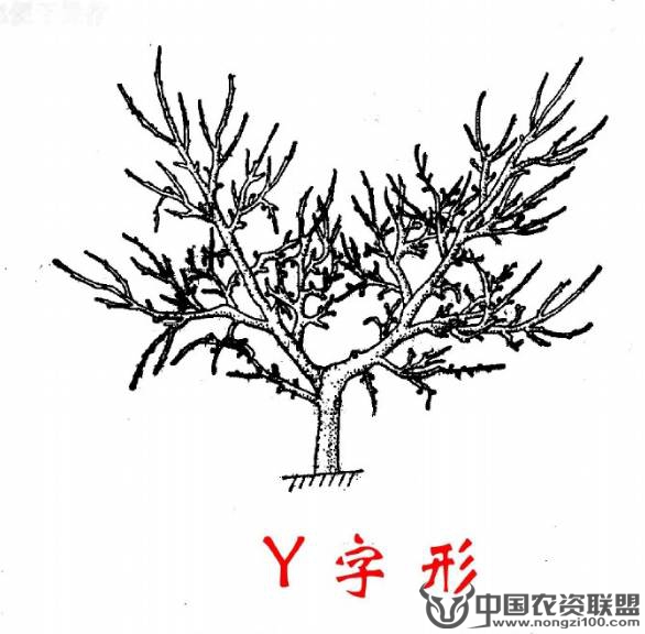 附件