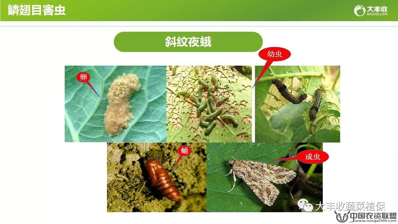 附件