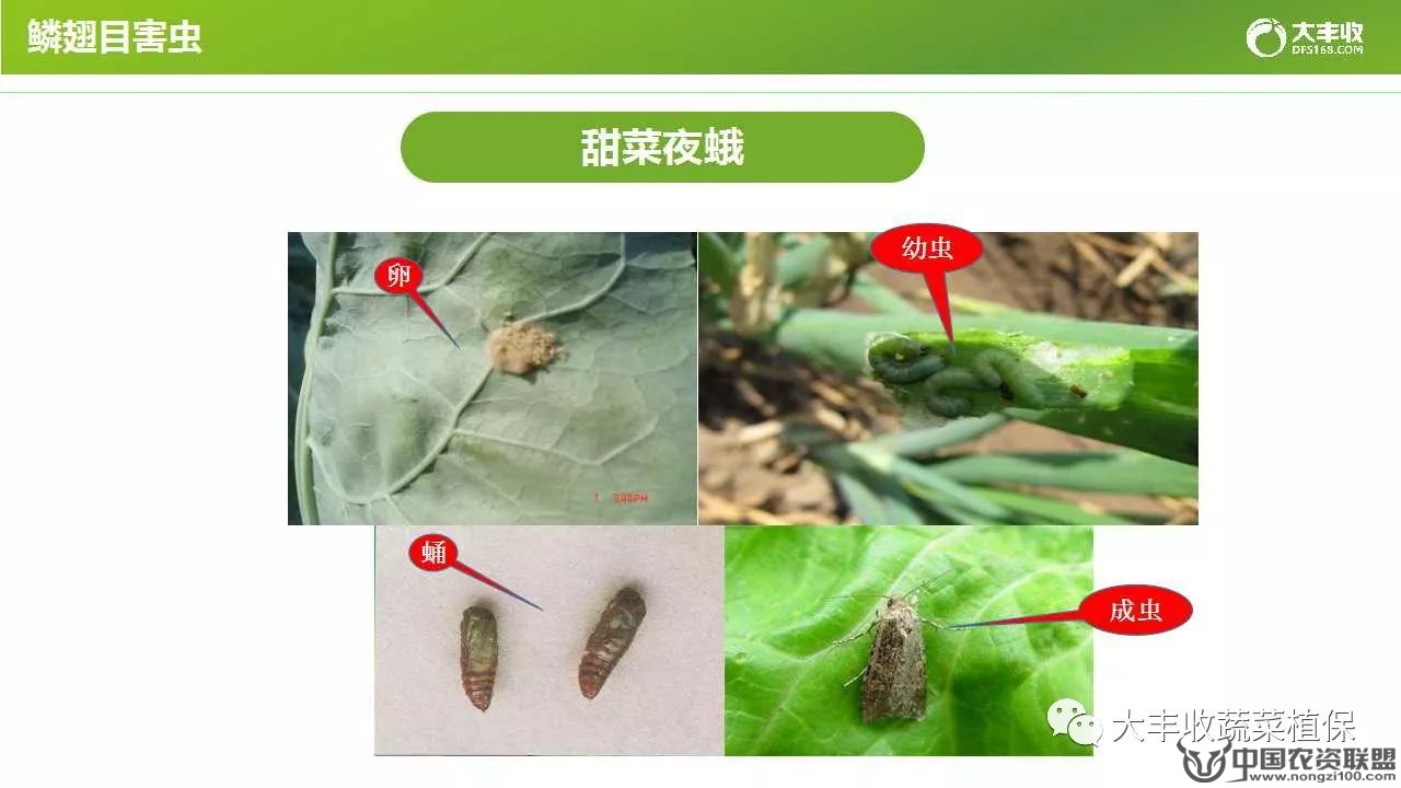 附件