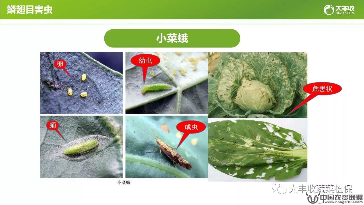 附件