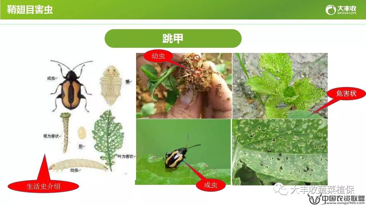 附件
