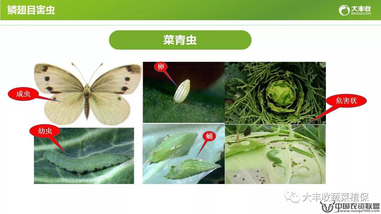 附件