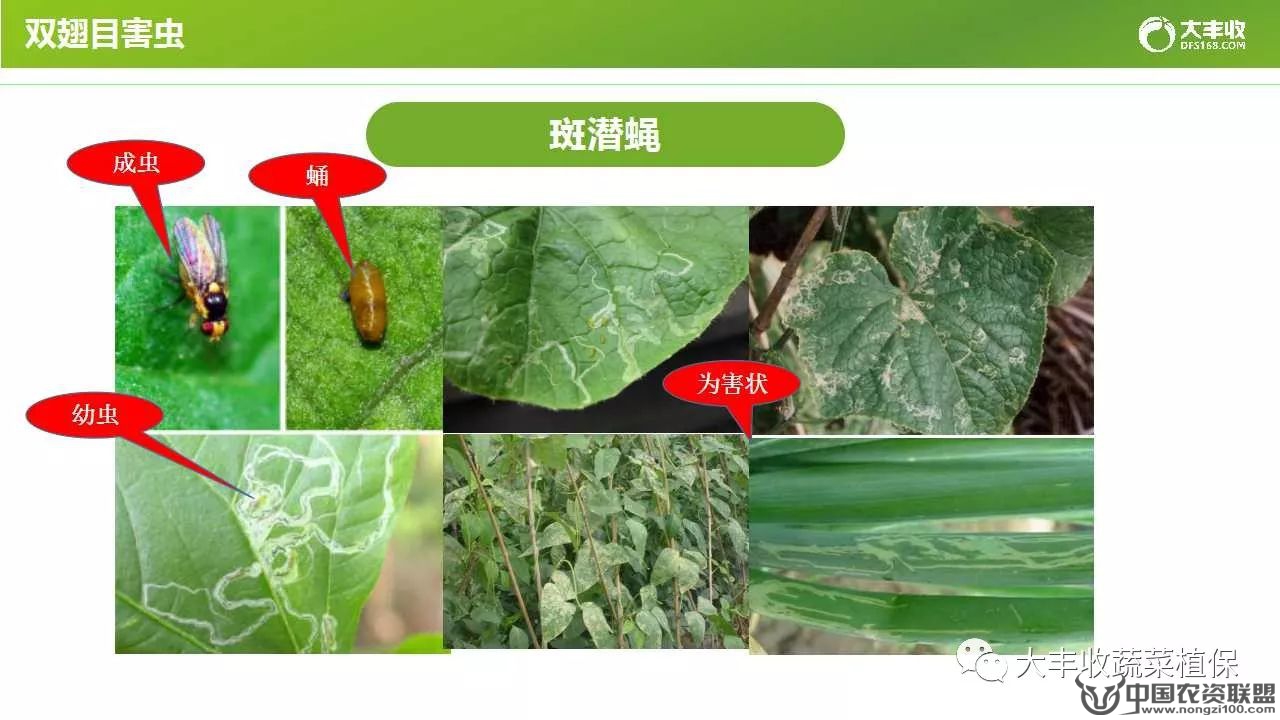 附件