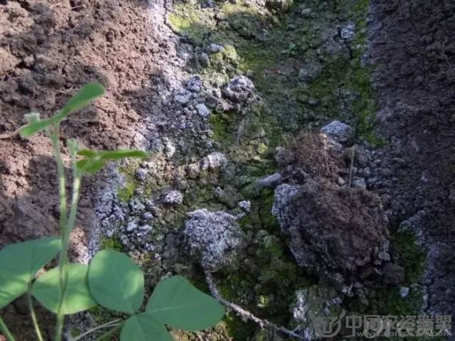 附件