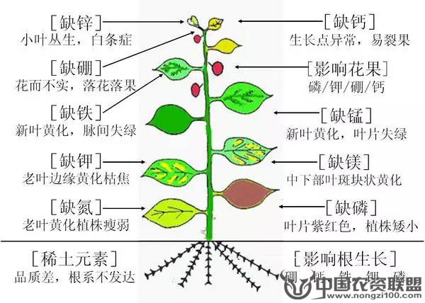 附件