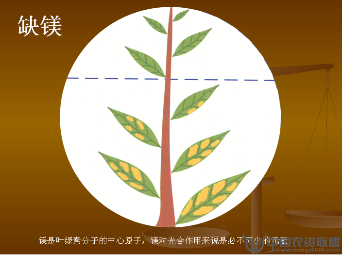 附件