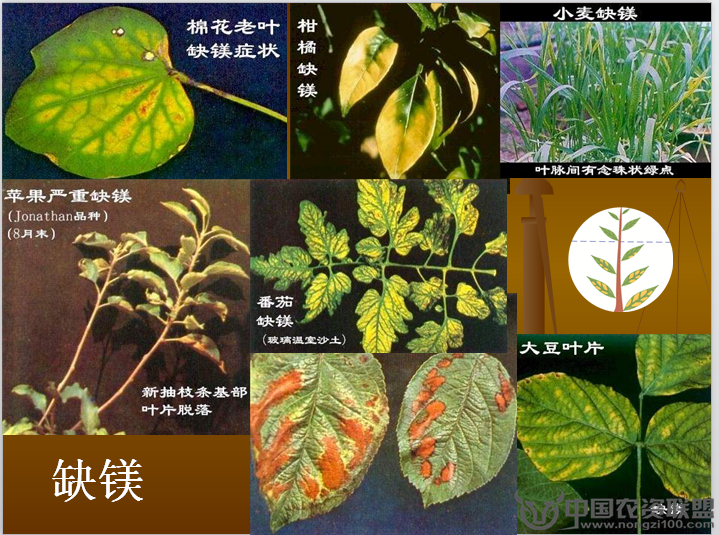 附件