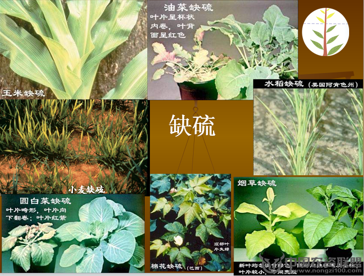 附件