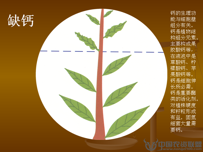 附件