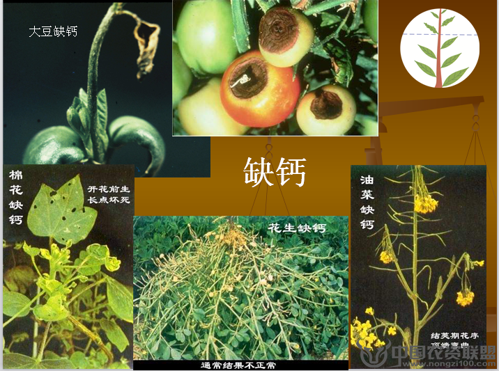 附件