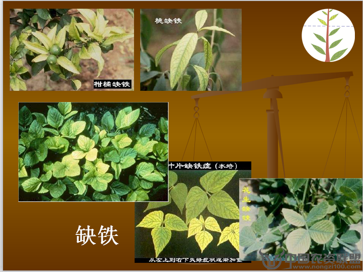 附件