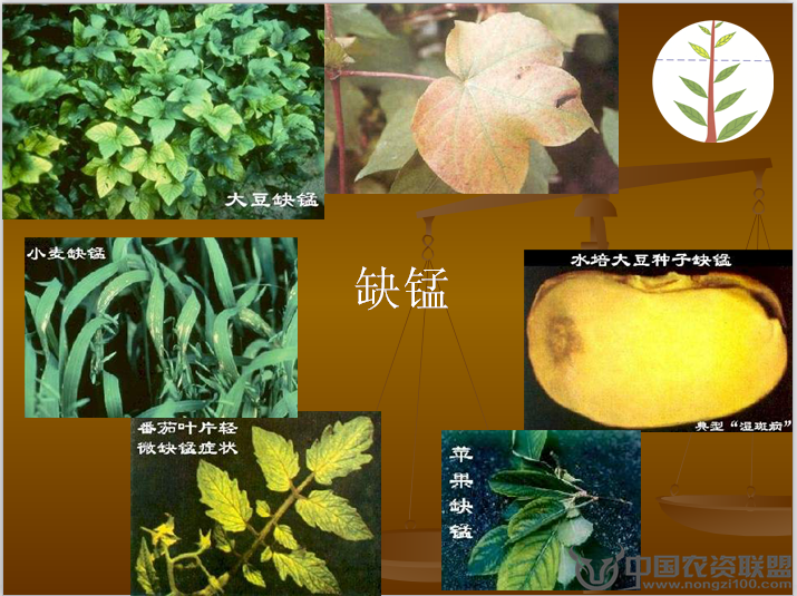 附件