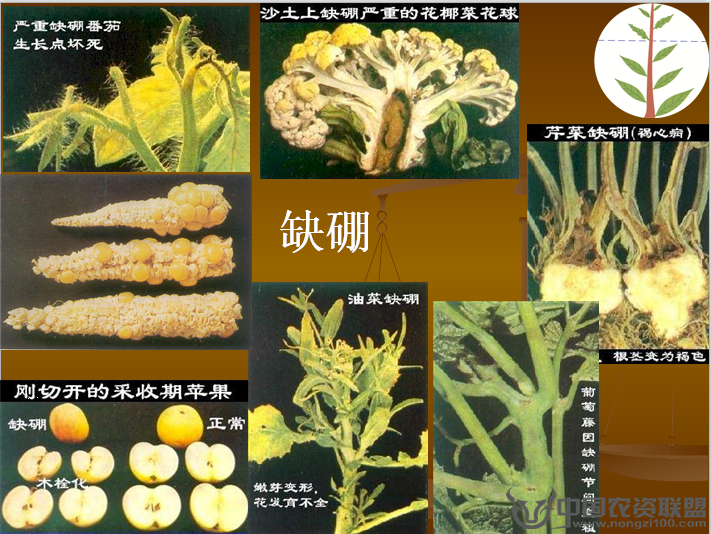 附件