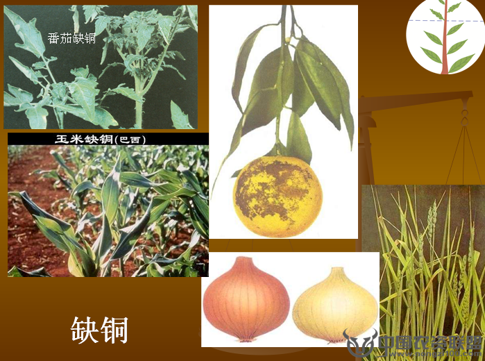 附件