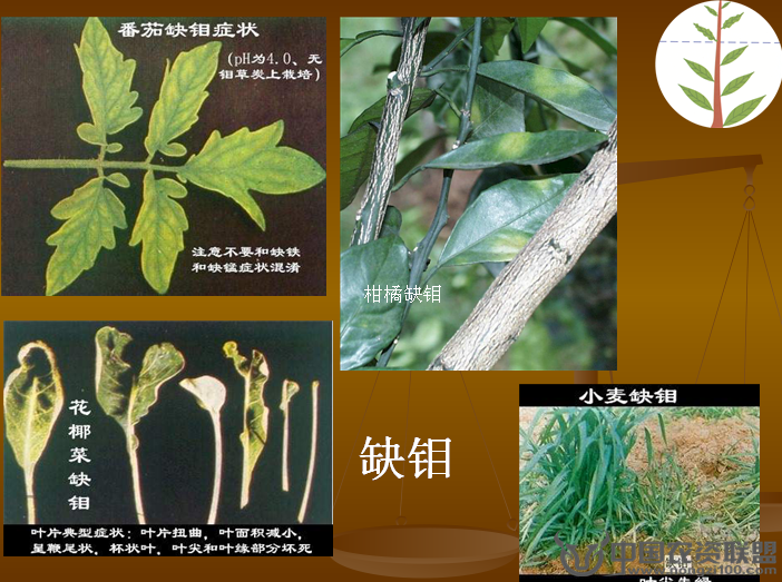 附件