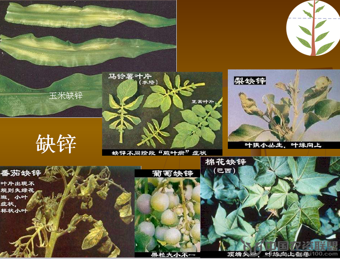 附件