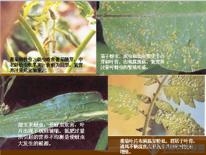 附件
