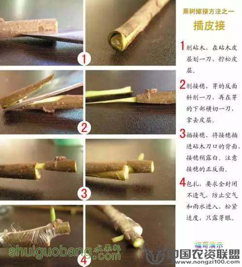 附件