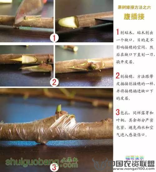 附件