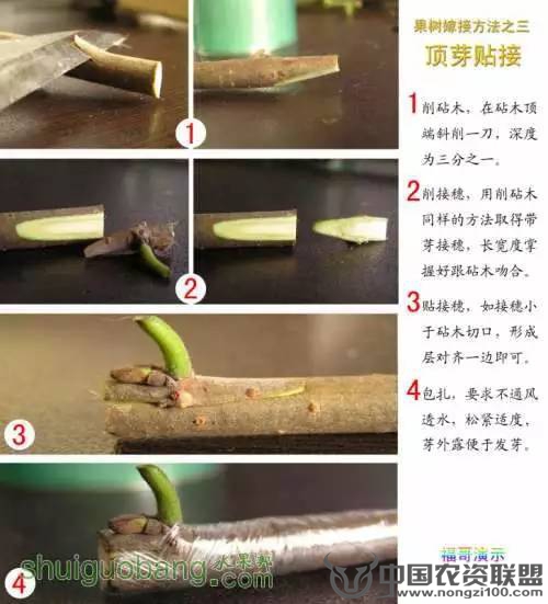 附件