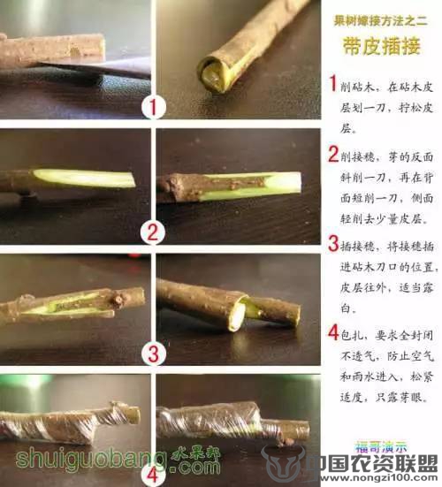 附件
