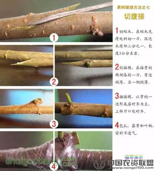 附件