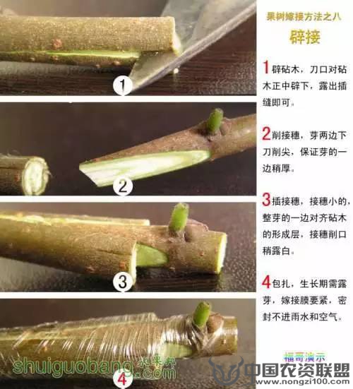 附件