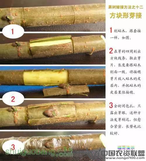 附件