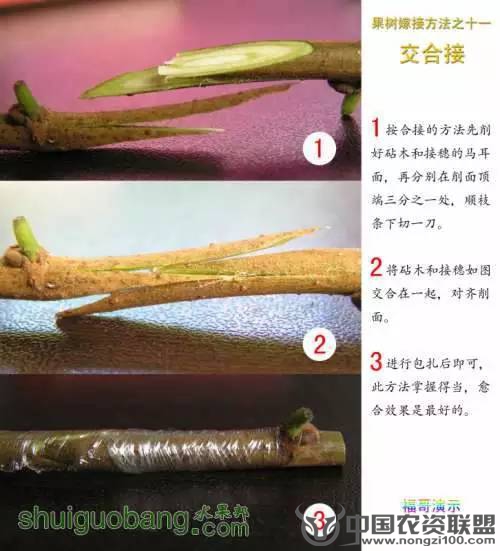 附件