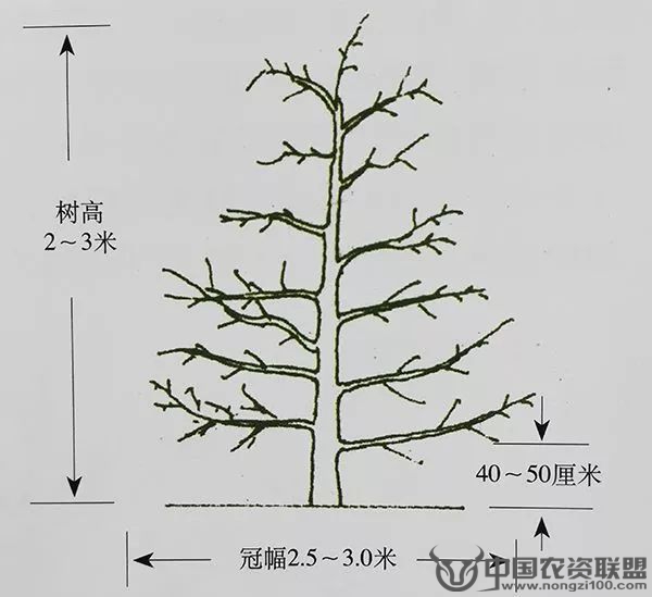 附件