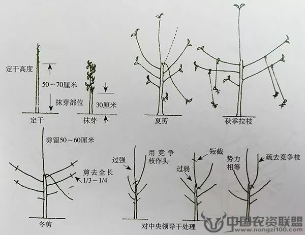 附件