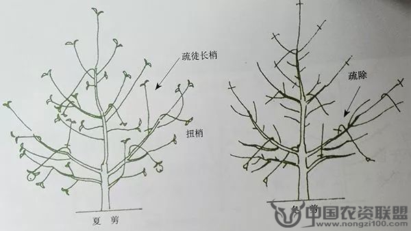 附件