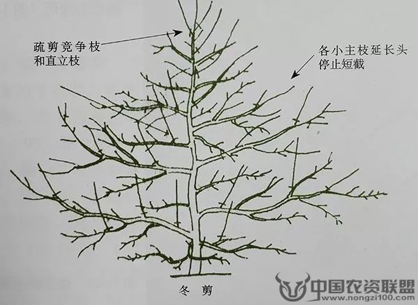 附件