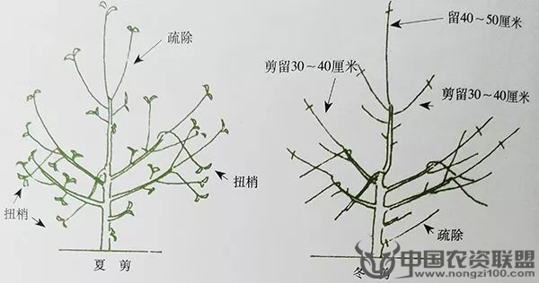 附件