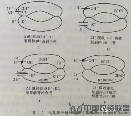 附件