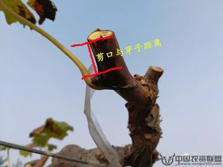 附件