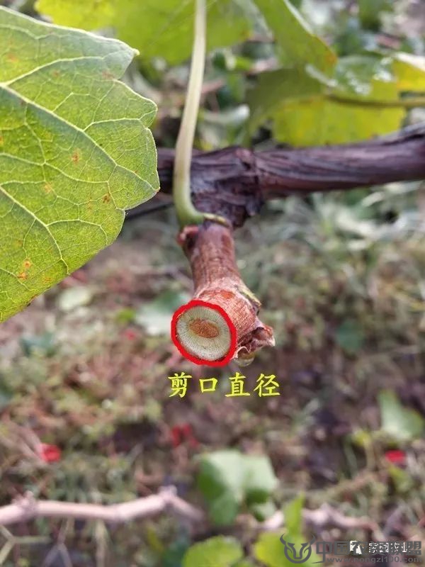 附件
